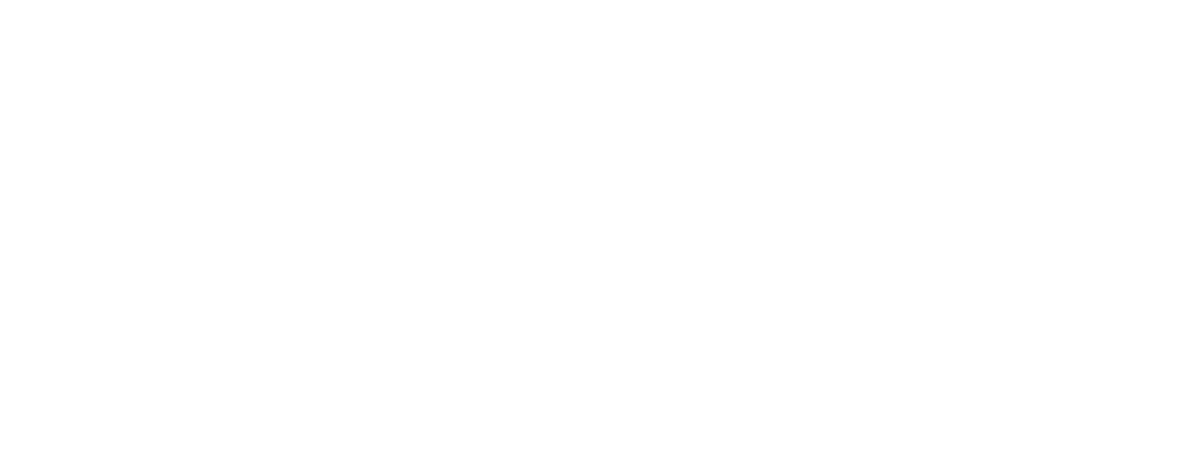 Noor Dinar